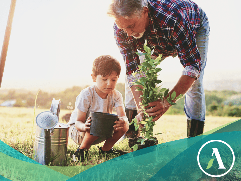 grandson and grandfather planing sapling