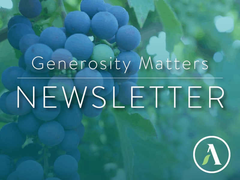 August 2020 Newsletter