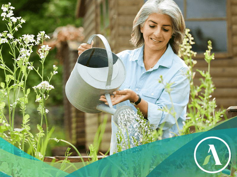 woman waters her garden with watering can